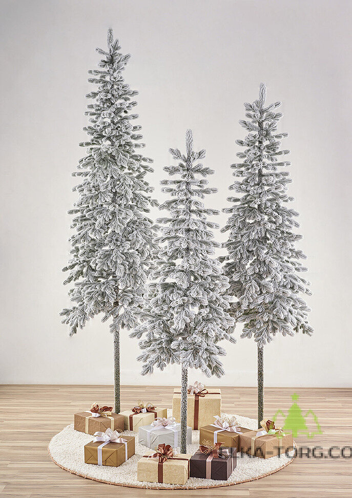 Koroleva_tyan_chanya_3491.970x0