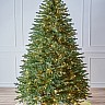 versalskaya_2.4_lam