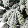 CRYSTAL TREES Искусственная Ель Власта заснеженная с вплетенной гирляндой 210 см
