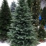 Искусственная ель Айрин 185 см