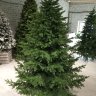 Искусственная ель CRYSTAL TREES Шотландия 270 см   