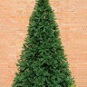 Искусственная елка Виктория интерьерная стволовая леска 2.5-8 м   