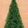 Искусственная елка Империал интерьерная стволовая ПВХ 2.5-8 м  
