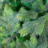Искусственная ель Green Trees Сказочная 3-8 м