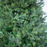Искусственная ель Green Trees Сказочная 3-8 м