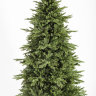 Искусственная ель CRYSTAL TREES Эвита 210 см