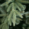 Искусственная ель Green Trees Фьерро премиум 180 см