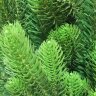 Искусственная елка Max Christmas Изумрудная 120 см          