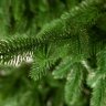 Искусственная ель CRYSTAL TREES Шотландия 230 см