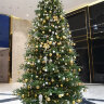 Искусственная елка Виктория интерьерная стволовая литая 3-6 м    