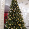Искусственная елка Виктория интерьерная стволовая литая 3-6 м    