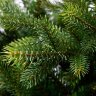 CRYSTAL TREES Искусственная Ель Княжеская 300см