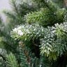 CRYSTAL TREES Искусственная Ель Лаки заснеженная с ягодами 210 см
