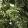 Искусственная ель Green Trees Онтарио Люкс 240 см
