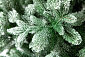 Искусственная ель CRYSTAL TREES МОНССЕРАТ в снегу  210 см